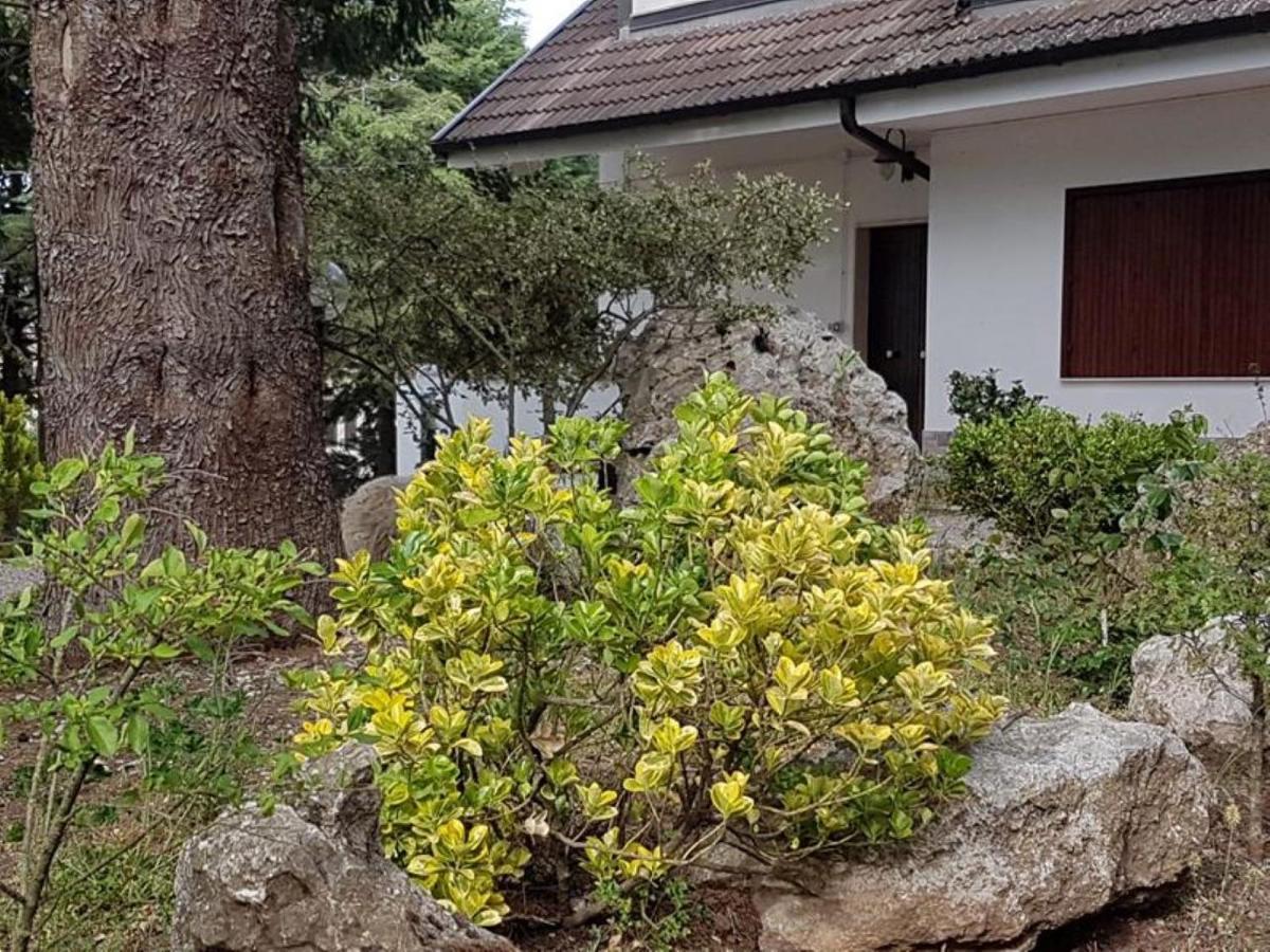 Appartamento Le Conifere Pignola Esterno foto