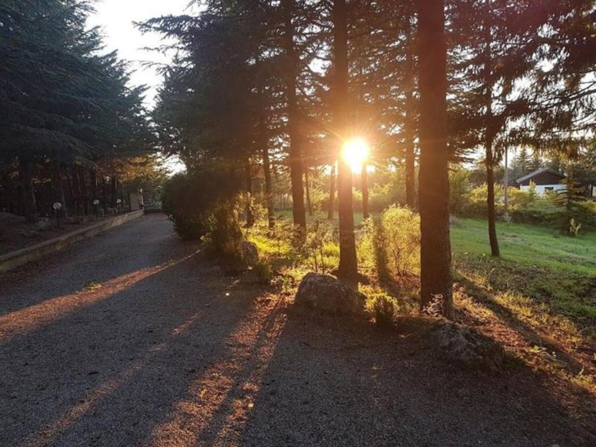 Appartamento Le Conifere Pignola Esterno foto