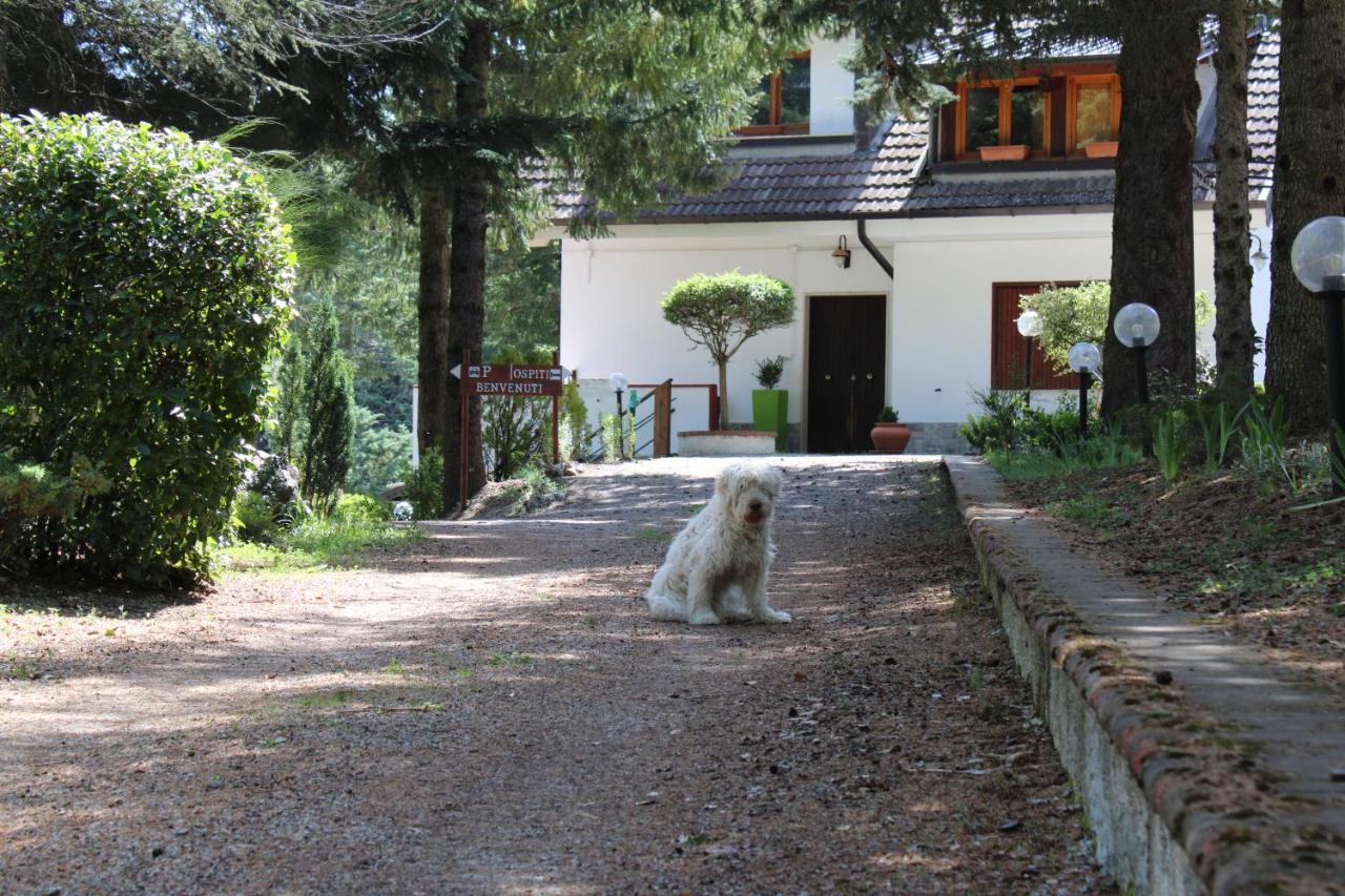 Appartamento Le Conifere Pignola Esterno foto