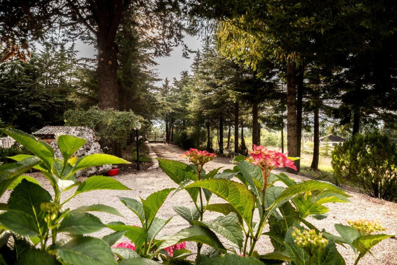 Appartamento Le Conifere Pignola Esterno foto